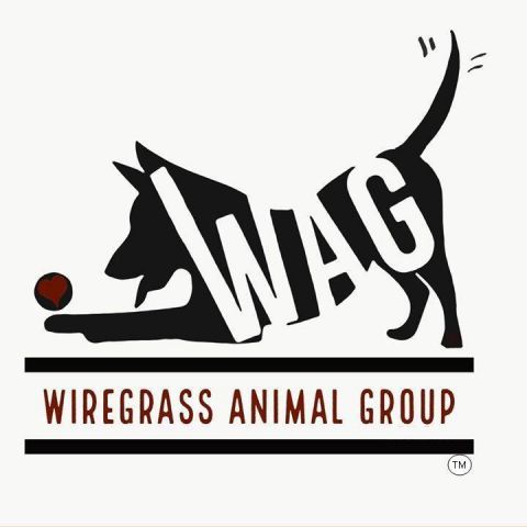 WAG Logo